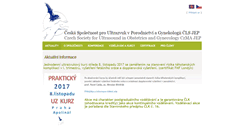 Desktop Screenshot of csupg.cz
